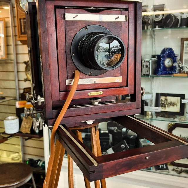 ハブの血の器　ANTIQUE vintage ハブの血の器 ANTIQUE vintage